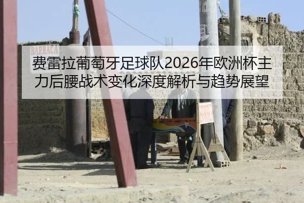 费雷拉葡萄牙足球队2026年欧洲杯主力后腰战术变化深度解析与趋势展望