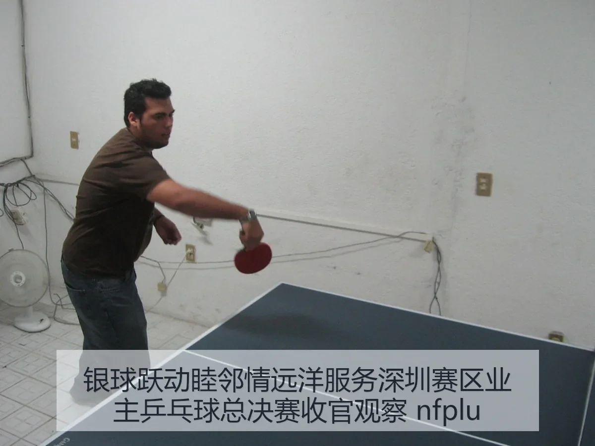 银球跃动睦邻情远洋服务深圳赛区业主乒乓球总决赛收官观察 nfplu